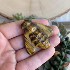 #287 Tigers Eye Bumblebee